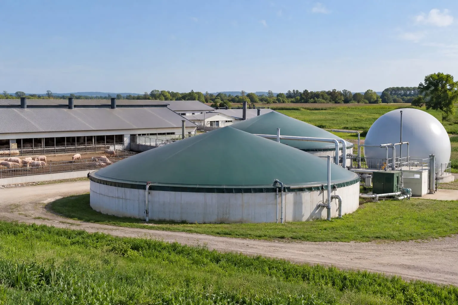 Biogas Projects for a pig farm